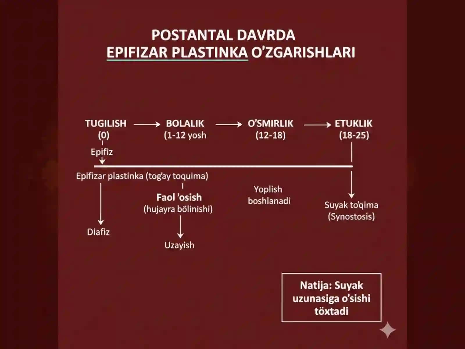 Suyaklar brikishining postnatal davrida o’zgarishi taqdimot 3