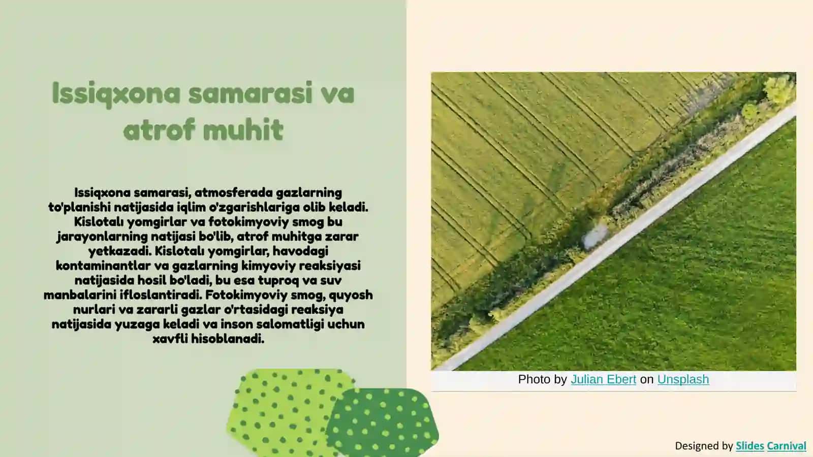 Issiqxona samarasi, kislotali yomgirlar, fotokimyoviy smogning hosil bo'lishi va ekologik tasiri 3