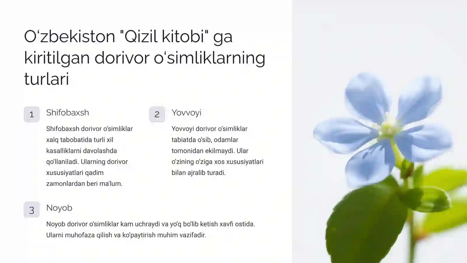 O‘zbekiston “Qizil kitobi” ga kiritilgan dorivor o‘simliklar 3