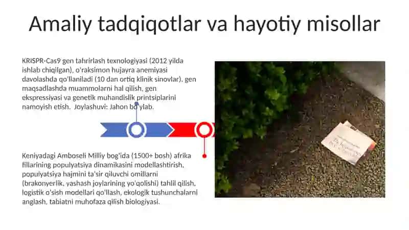 Biologik Tushunchalarni Shakllantirishda Mantiqiy Muammoli Metodlar 3