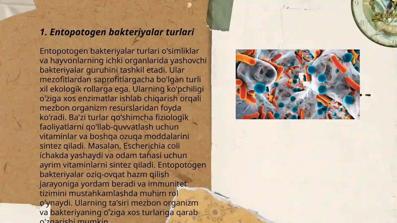 Entopotogen bakteriyalar 3
