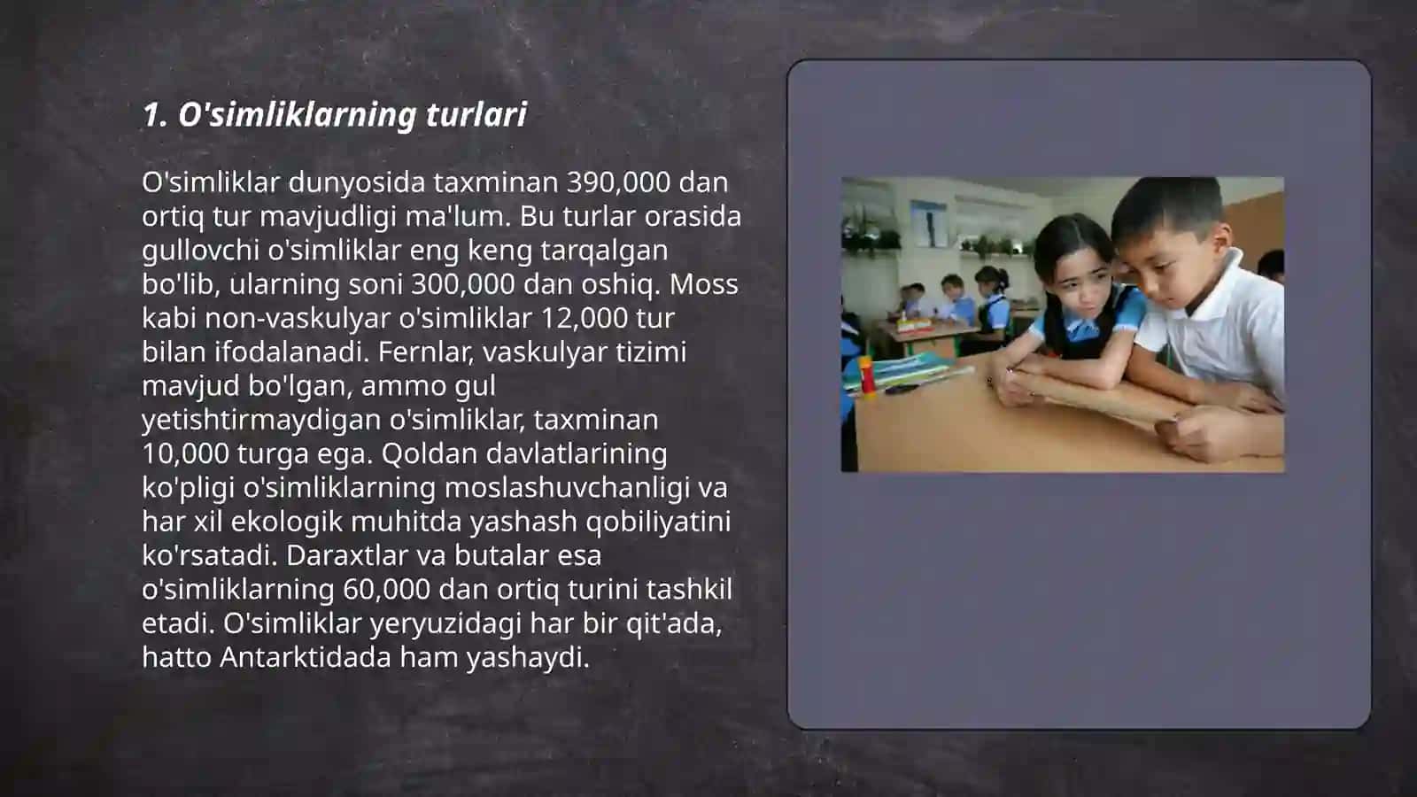 Tabiat bilan tanishtirish dasturi mazmuni 3