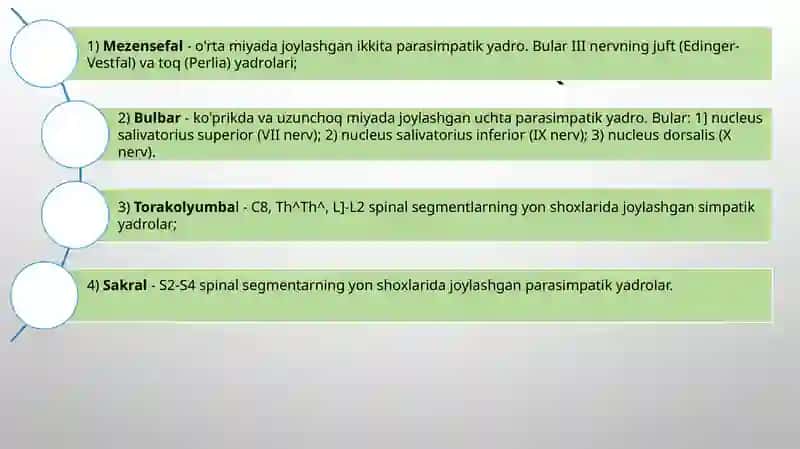 Vegetativ asab tizimining anatomiyasi va fiziologiyasi. 3