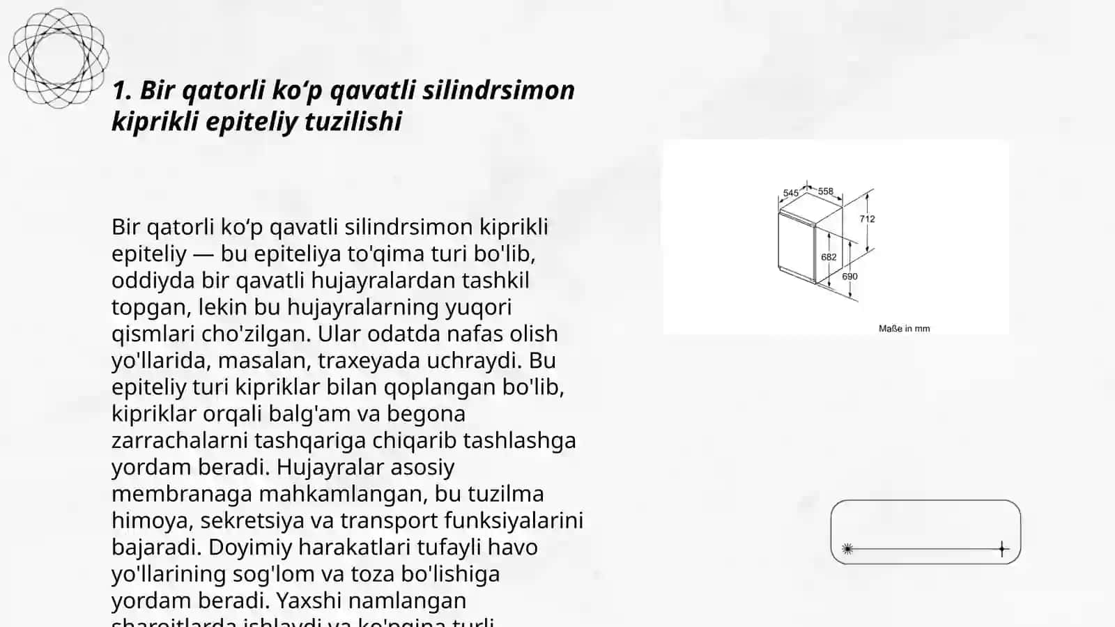 Bir qatorli koʻp qavatli silindrsimon kiprikli epiteliy Beraman metodidan foydalanib nematodalarni ajratib olish 3