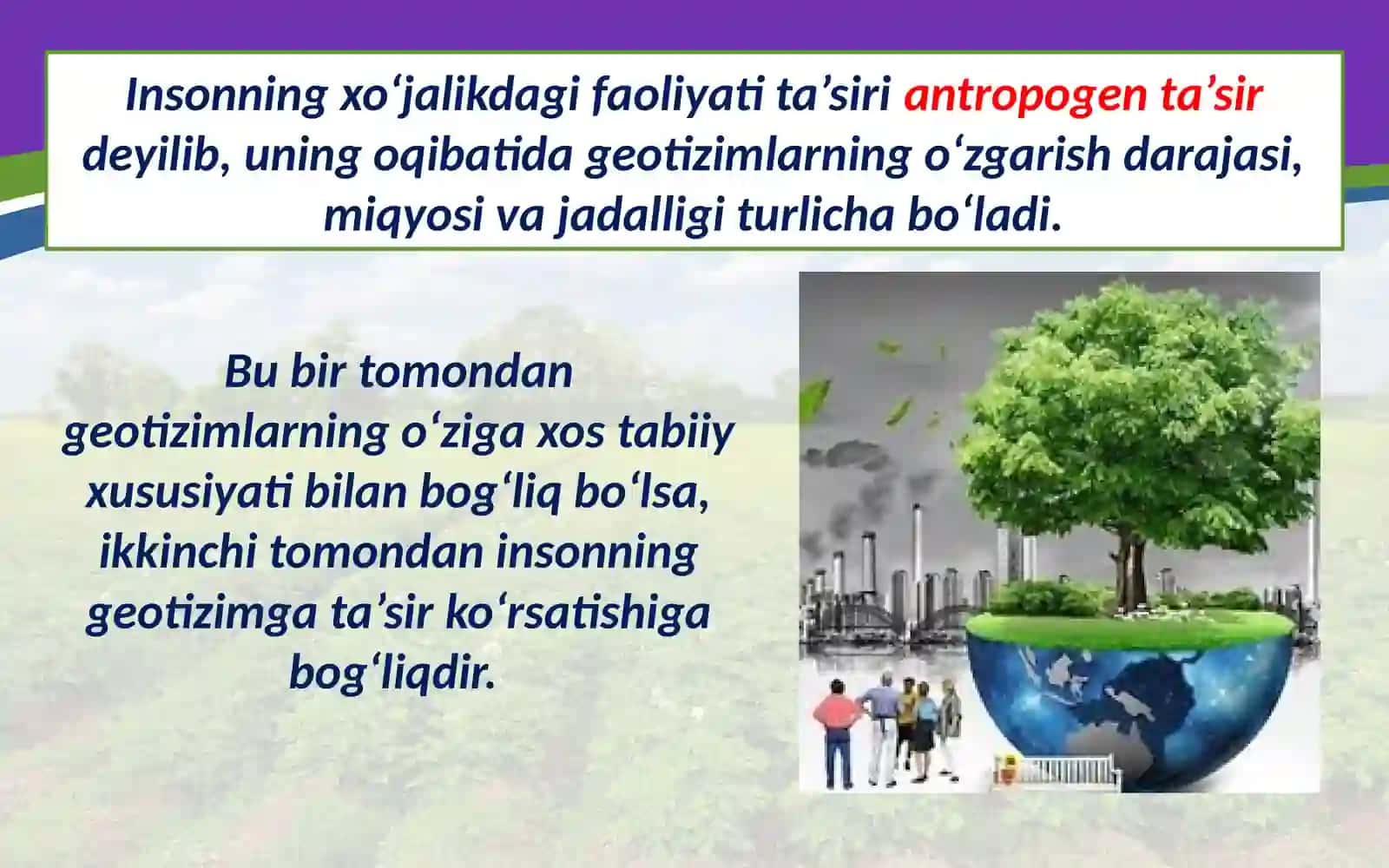 Antropogenlandshaftlar 3