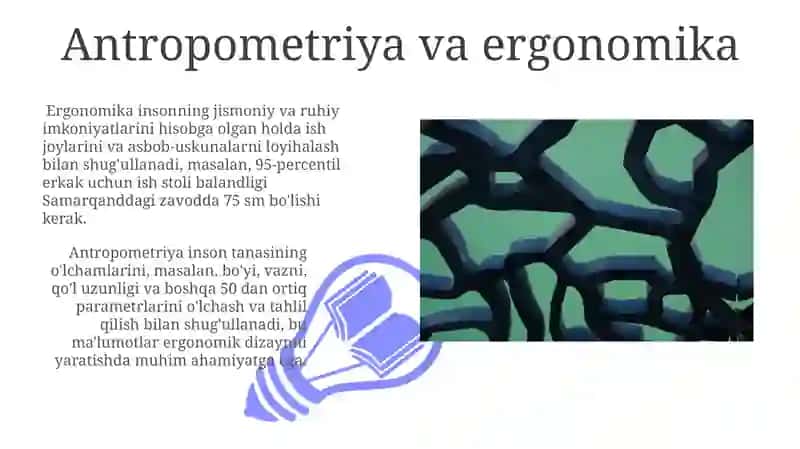 Antropometriya va ergonomika 3