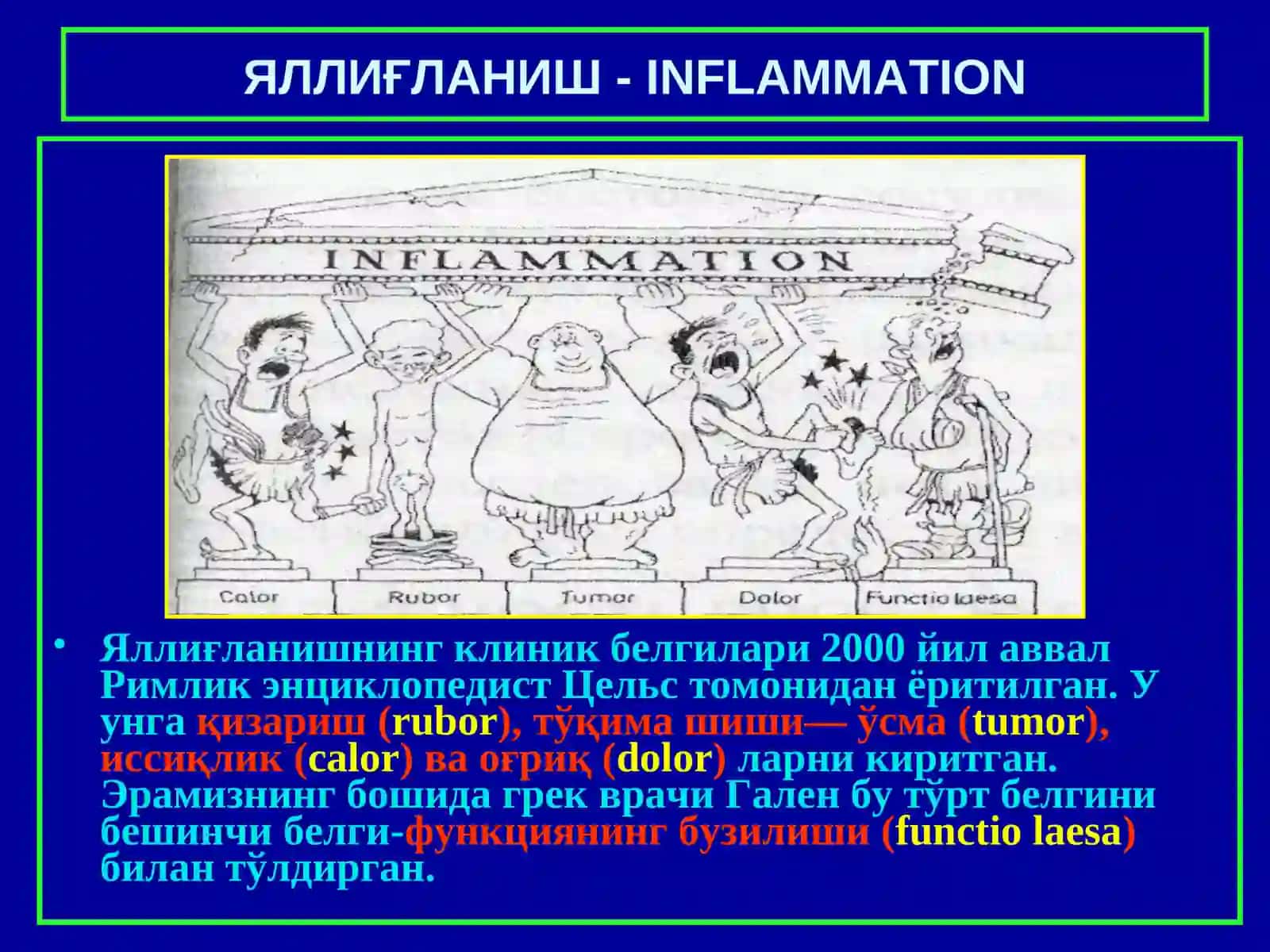 Яллиғланиш -INFLAMMATION 3