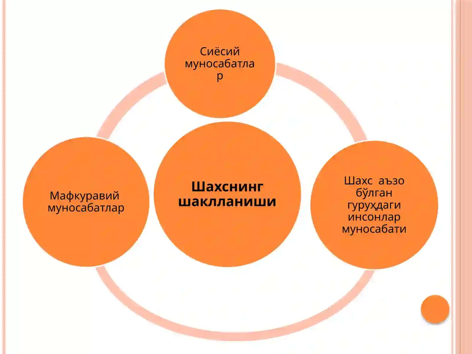 Шахстушунчаси 3