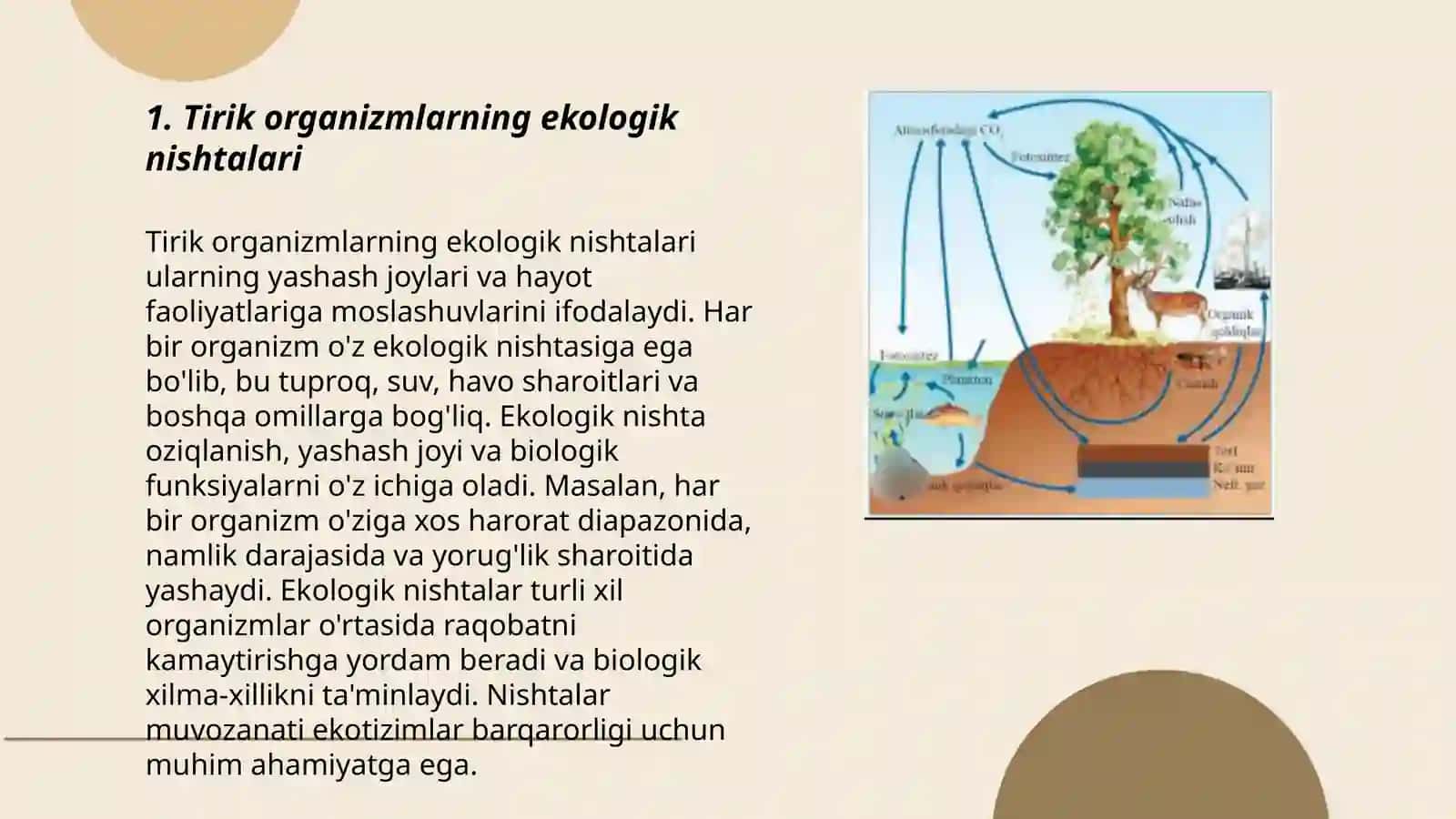 Tirik organizmlarning biosferada tarqalishi va yashash muhiti 3