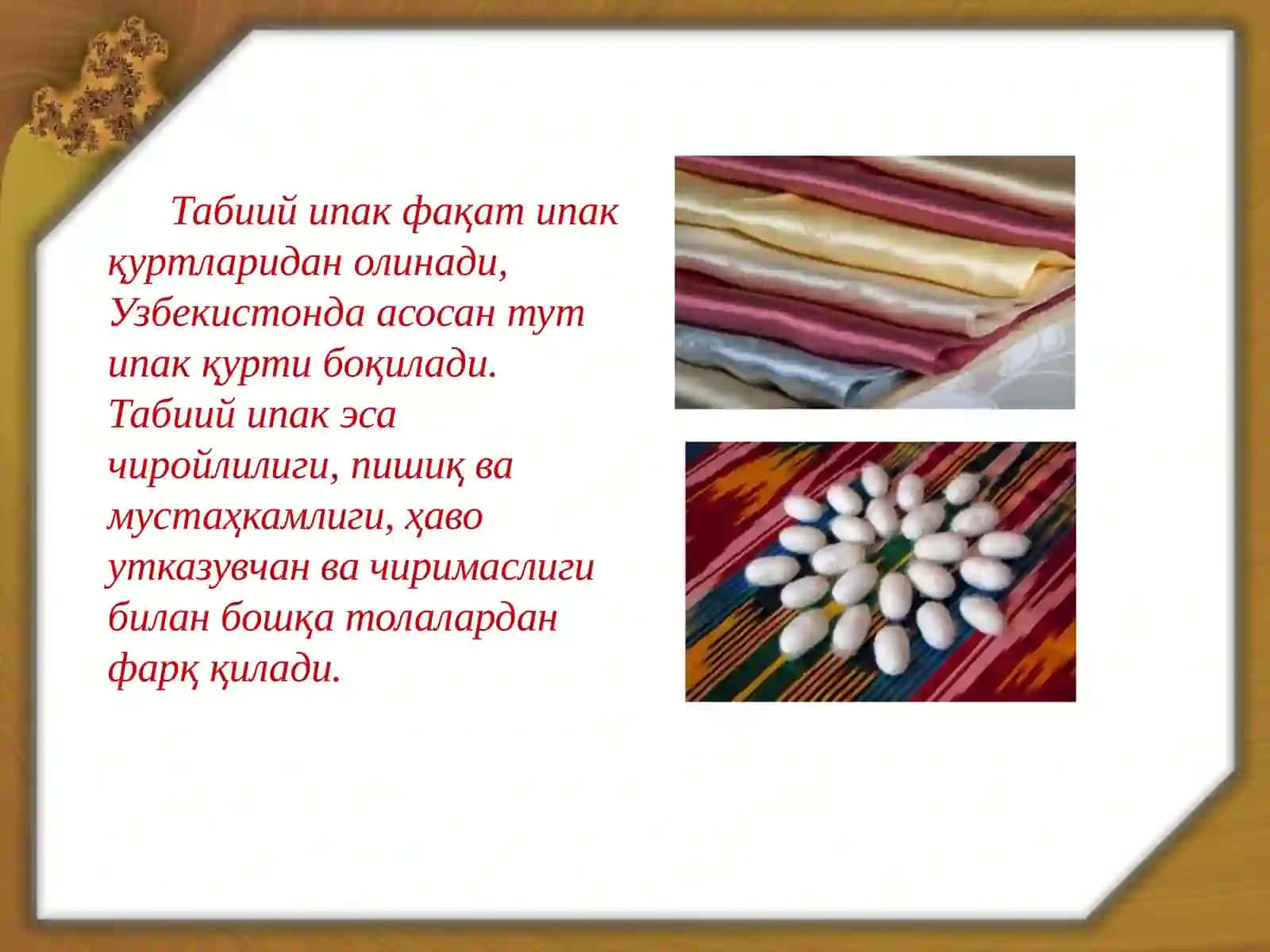 Тут ипак қурти 3