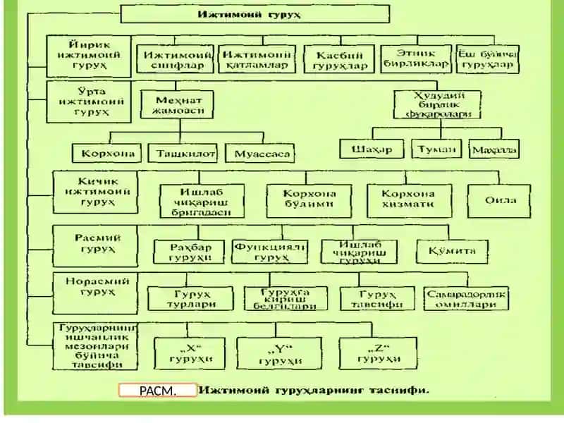 Меҳнат жамоаларини ташкил этиш 3