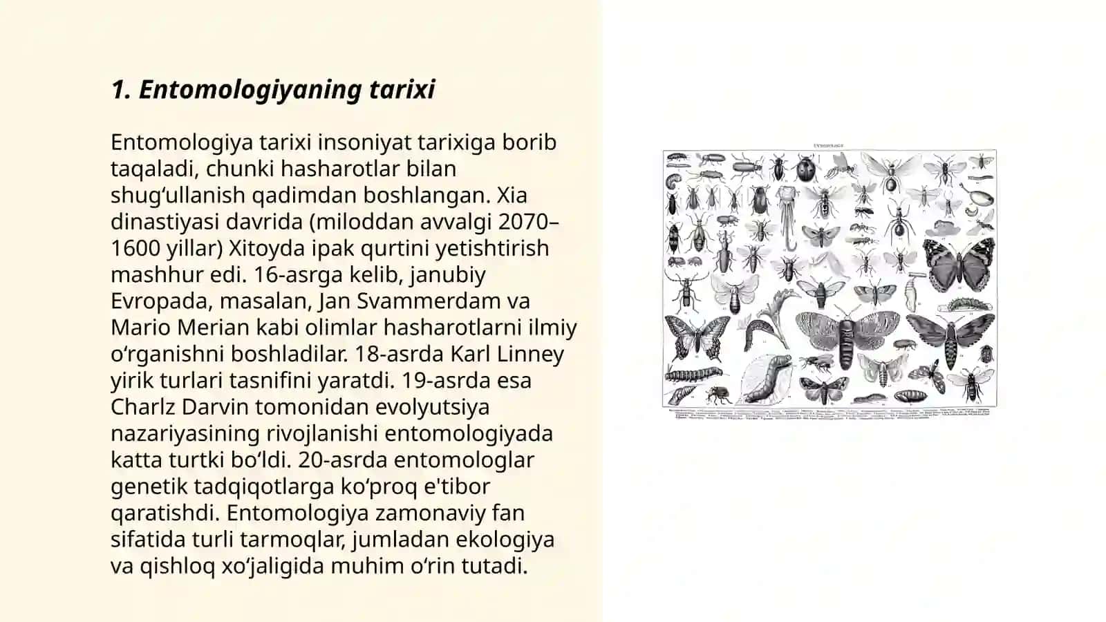 Entomologiya Pulotov Faxridin 3