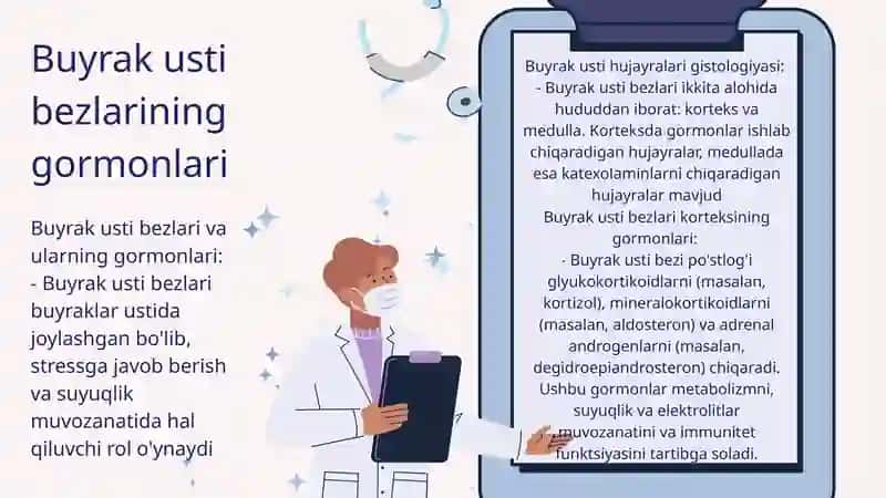 Buyrak usti bezlari 3