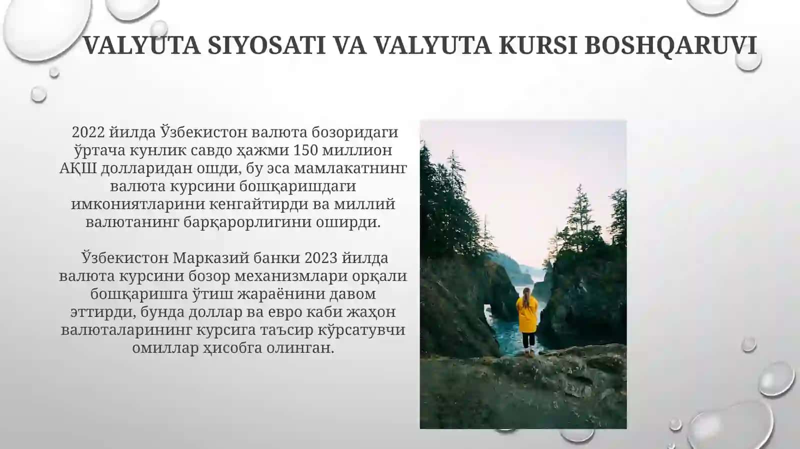 Davlatning tashqi iqtisodiy siyosati va uning tarkibiy qismlari 3