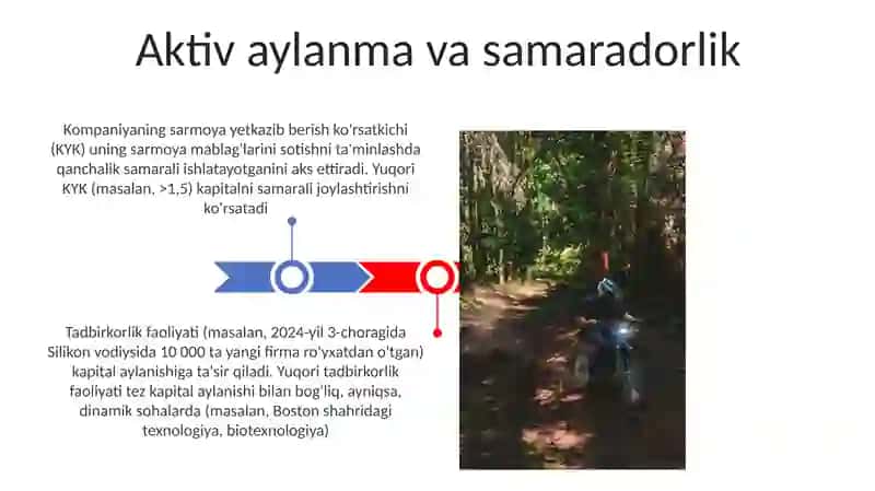 Tadbirkorlik faoliyati 3