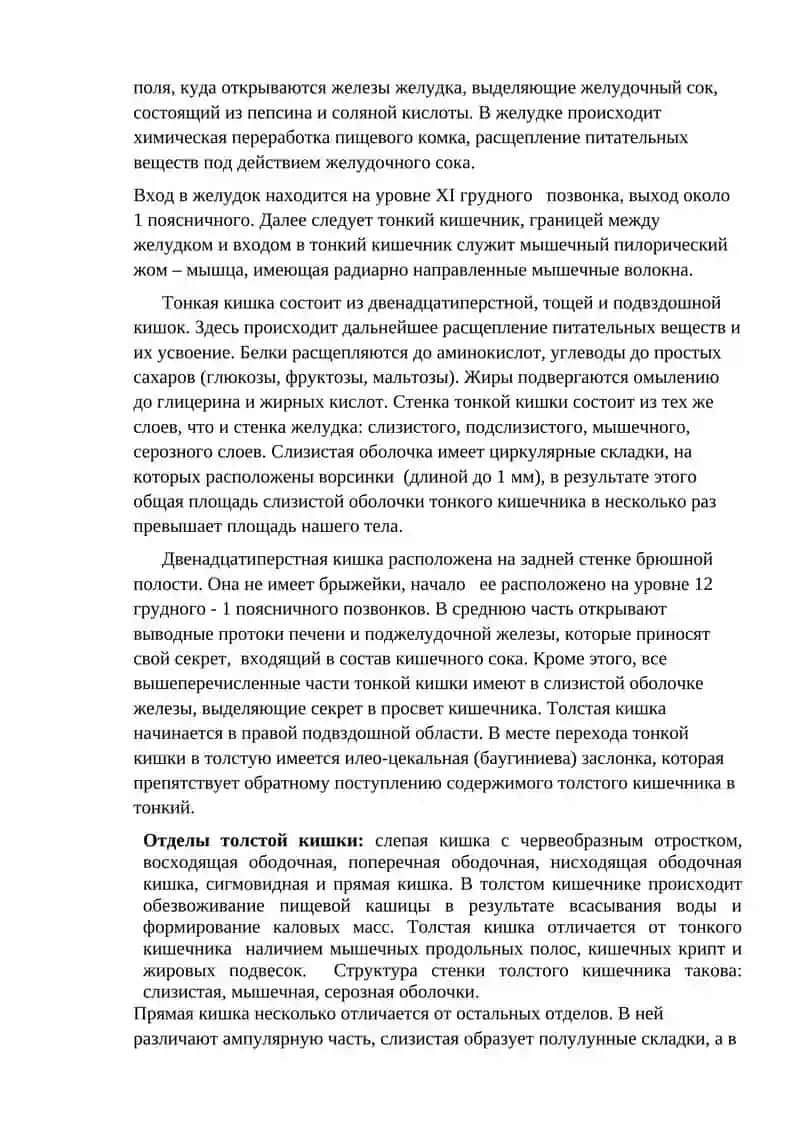 Тема: «Трубчатые и паренхиматозные органы пищеварительной системы. Строение печени и поджелудочной железы» 3
