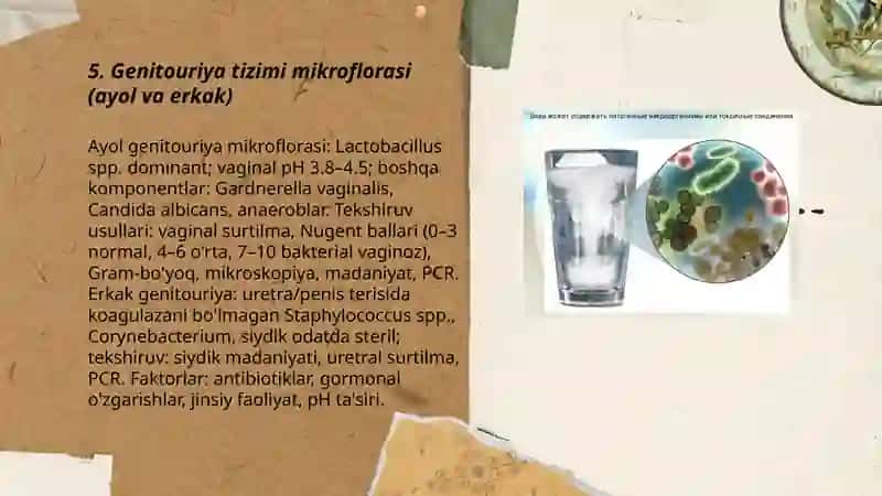 Genitouriya mikroflorasi 3
