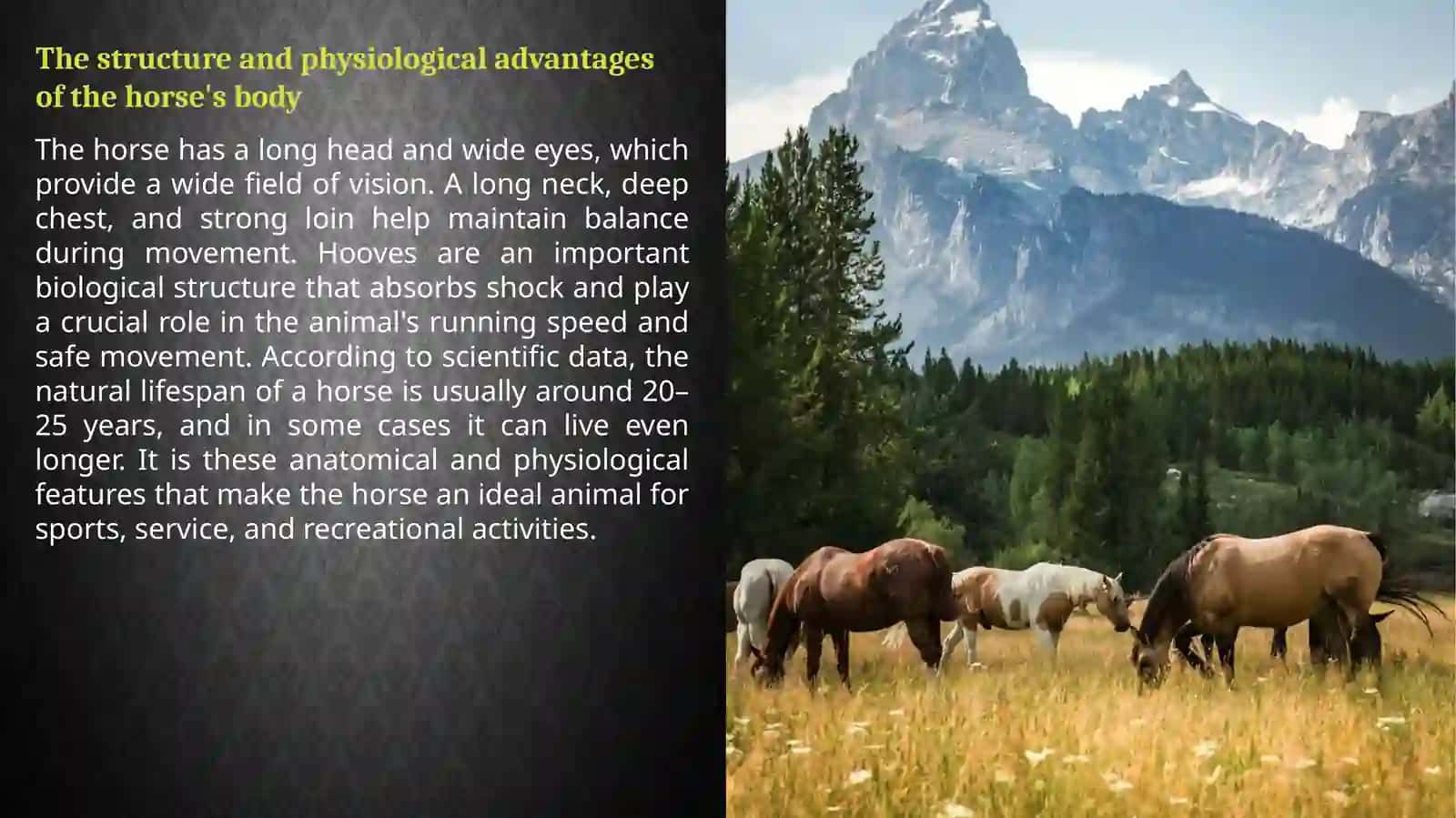 Biological Characteristics of Horses 3