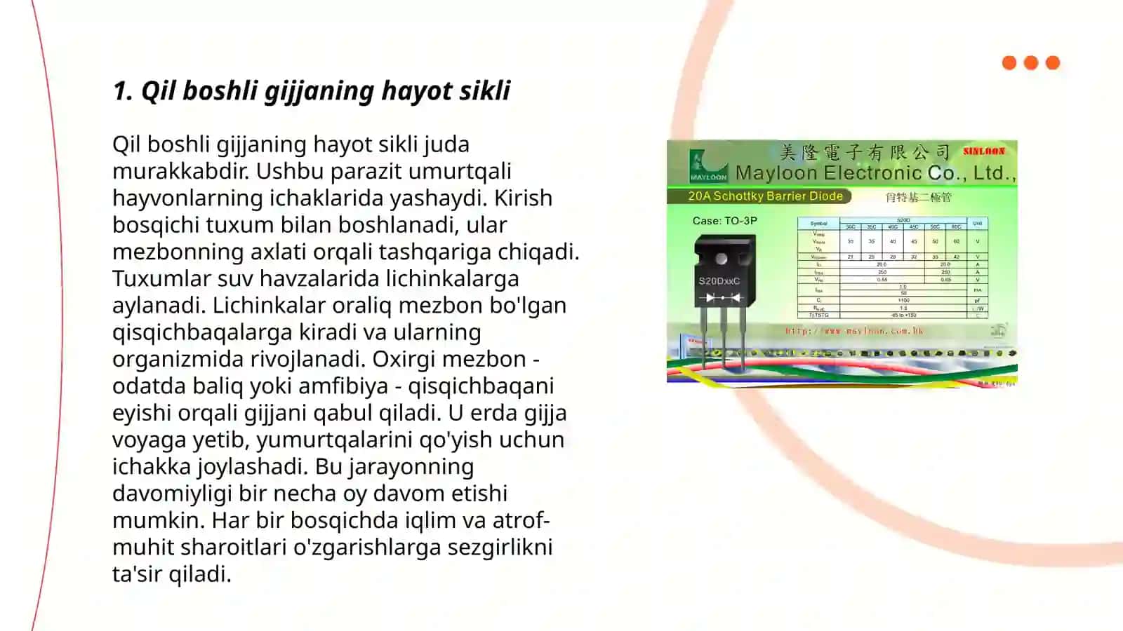 QIL BOSHLI GIJJA, TRIXINELLA,EGRI BOSHLI GIJJA RISHTA,STRONGILOIDLAR 3