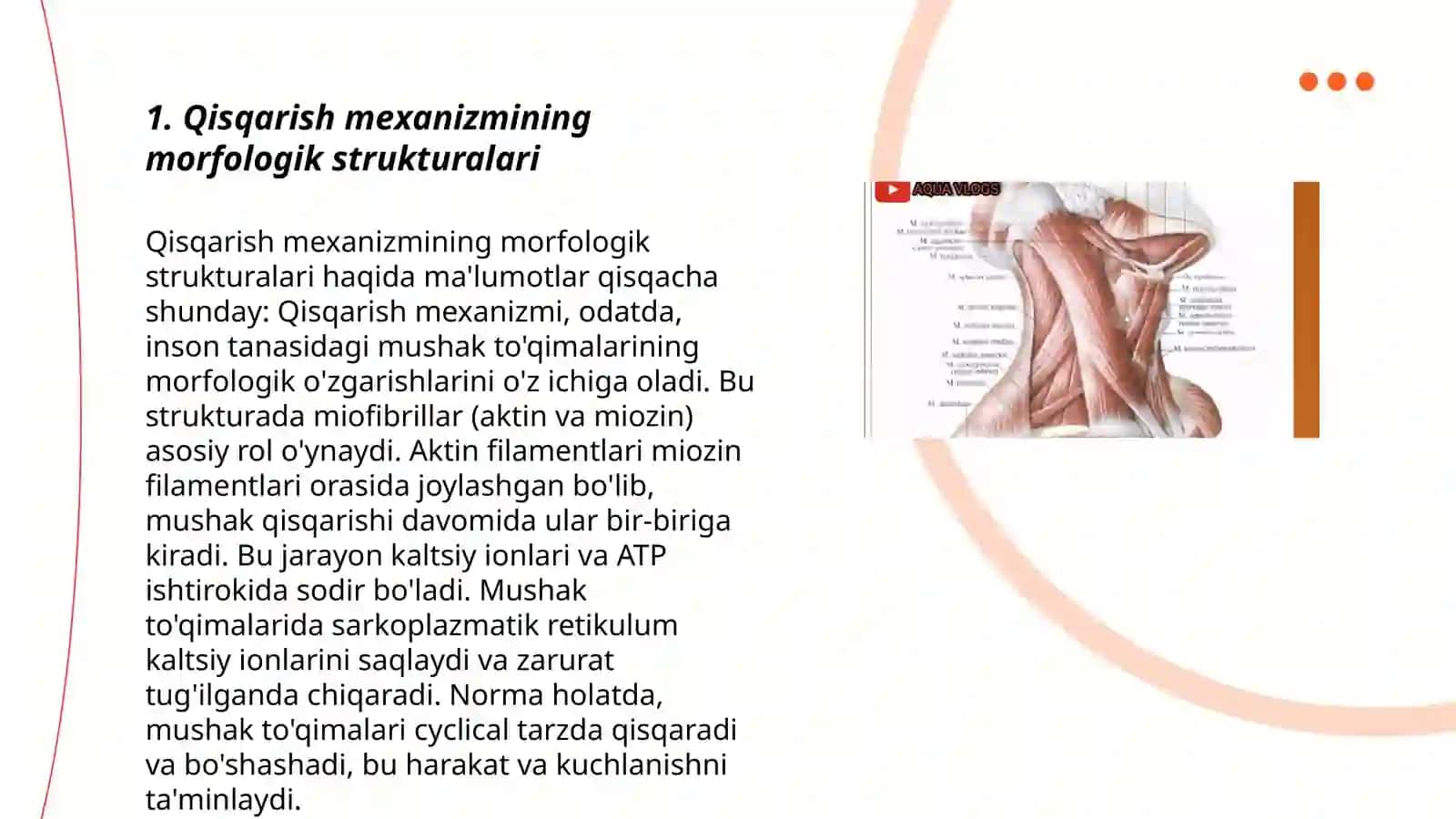 Mushak qisqarish mexanizmining morfologik asoslari 3