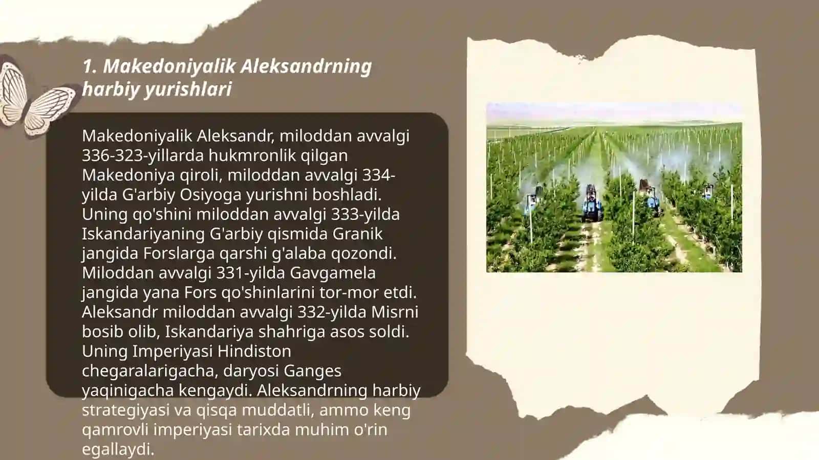 Makedoniyalik Aleksandrning Baqtriya va Sugʻdiyonaga yurishlari 3