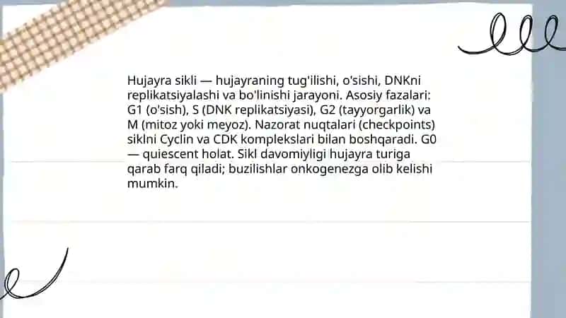 Hujayra sikli 3