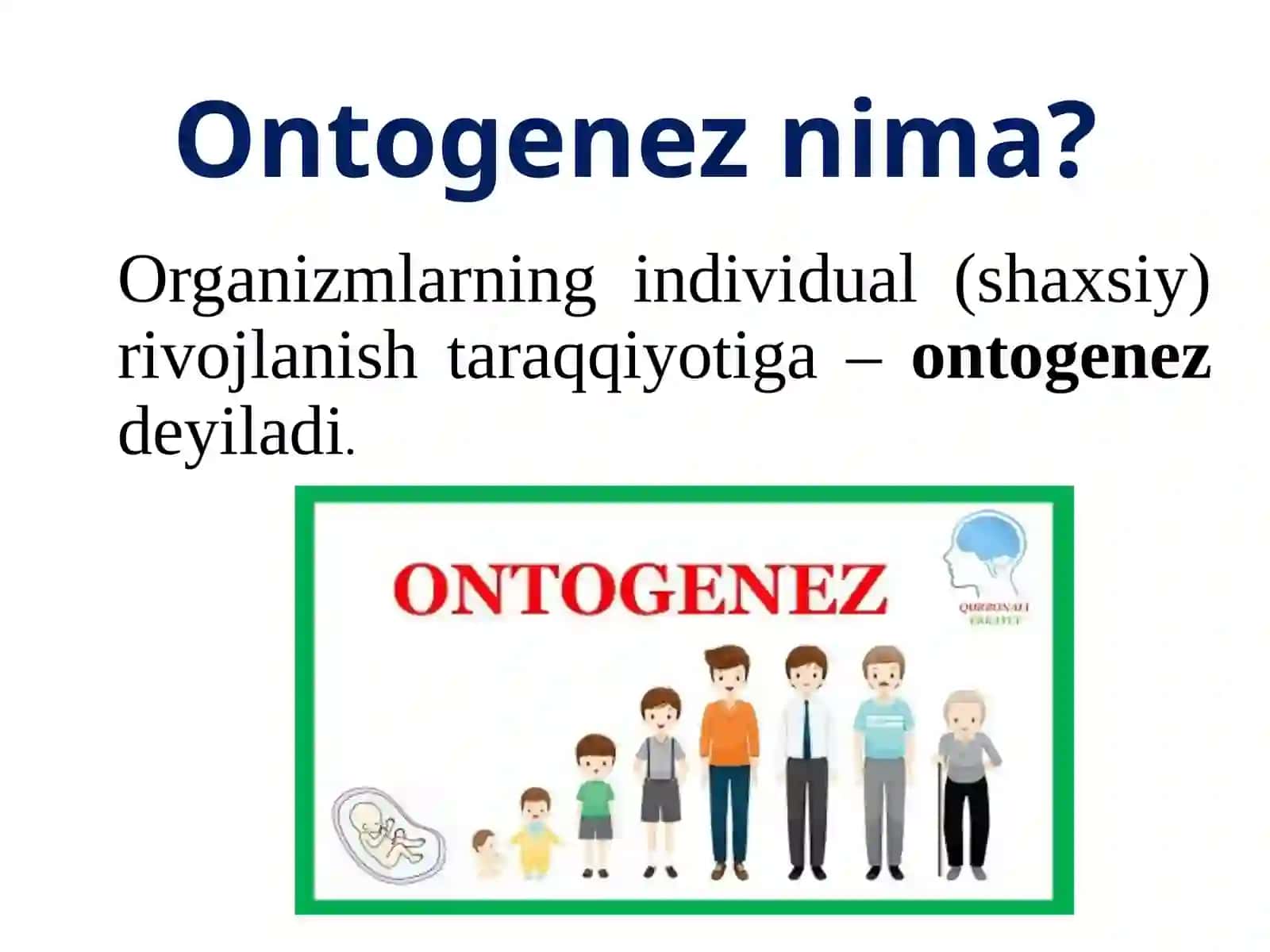 ONTOGENEZ VA UNING TIPLARI 3