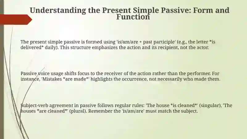 Present simple passiv 3
