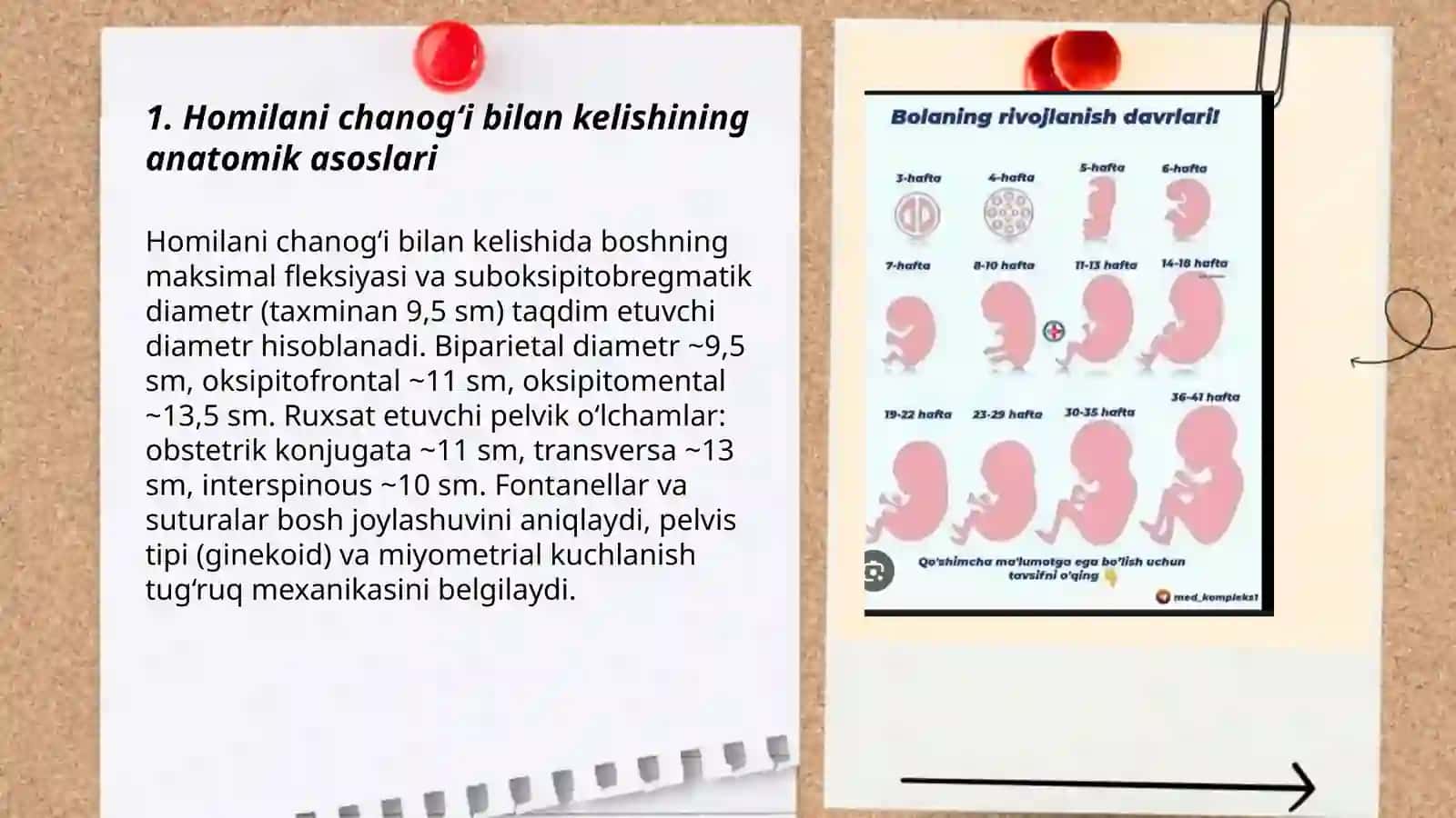 Homilani chanogʻi bilan kelishi 3