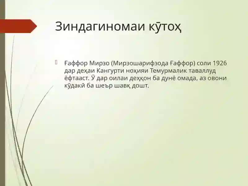 Ғаффор Мирзо 3