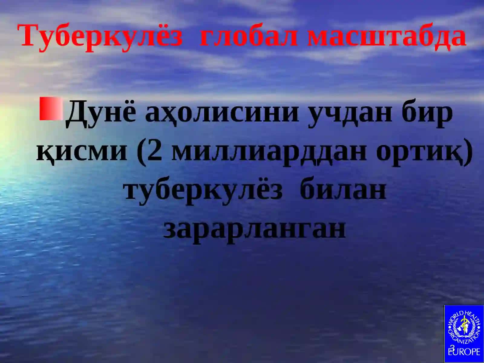 Туберкулёз 3
