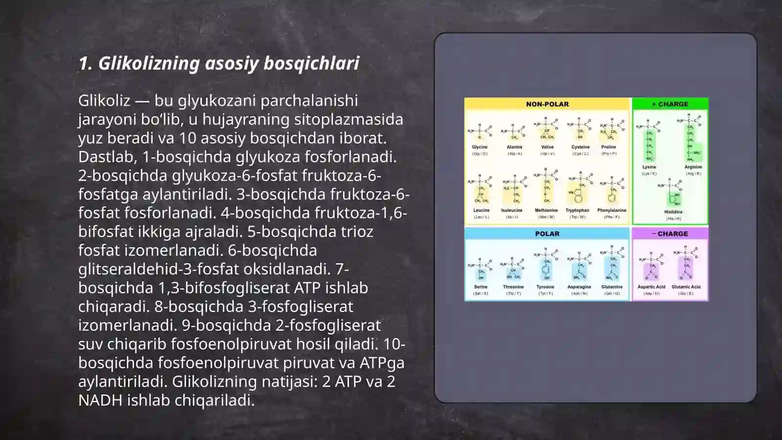 Jigarda glikoliz va glikoneogenezni boshqarilishi 3