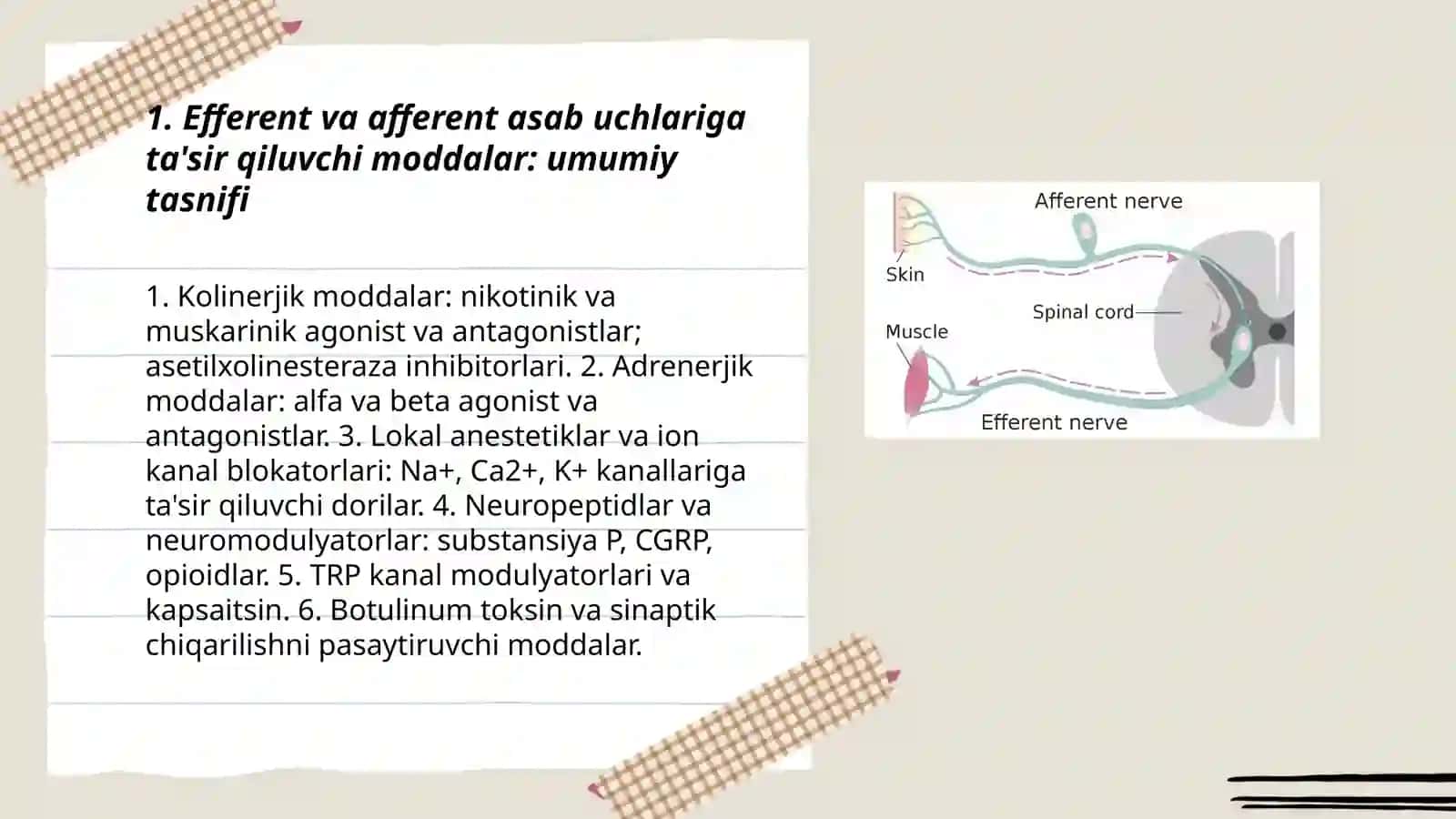 Efferent va afferent asab uchlariga ta'sir qiluvchi moddalar farakologiyasi 3