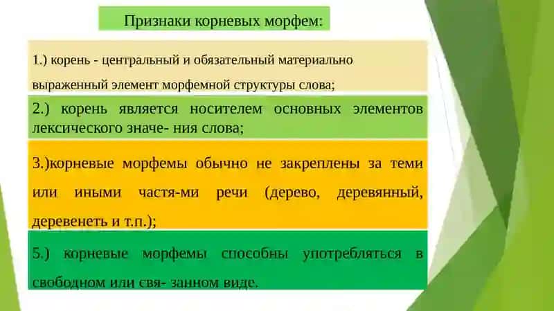 Особенности морфем и их вариантов в организации слова 3