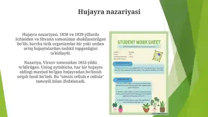 Osimlik va hayvon hujayralarining tuzilishi 3