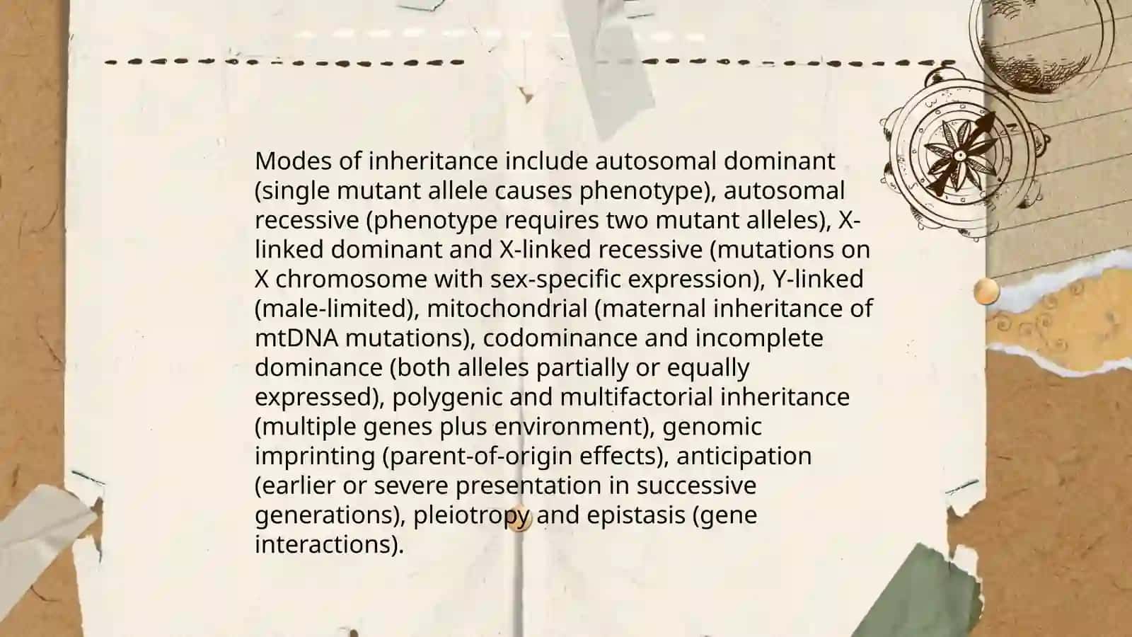 Genetic and Genealogical Typology 3
