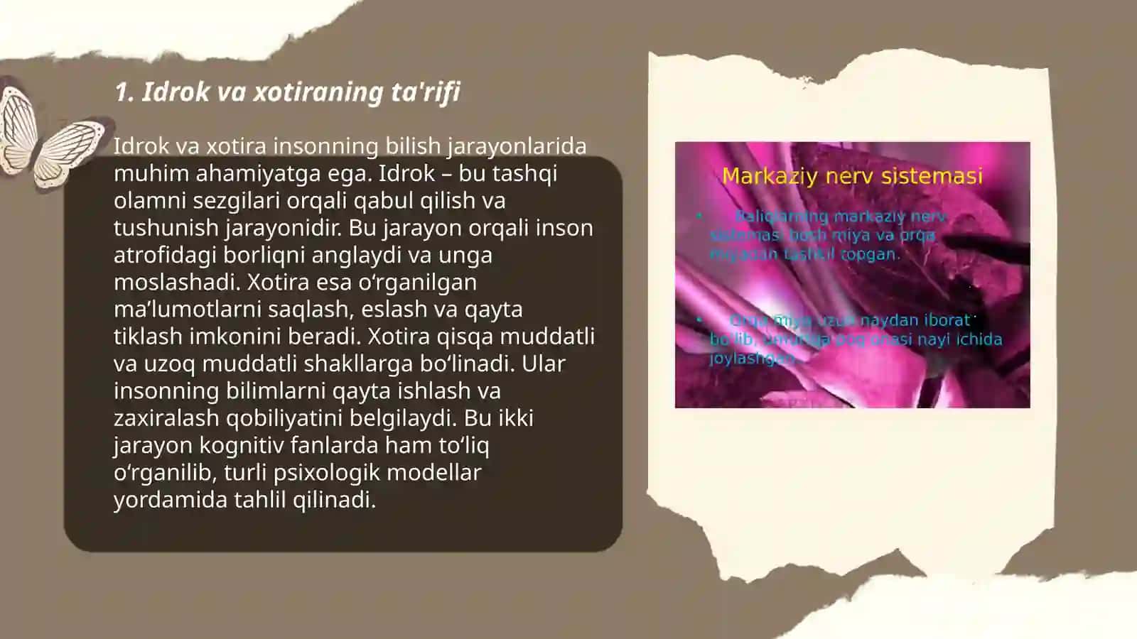 Idrok va xotira haqida tushuncha uning nerv fiziologik asosi 3