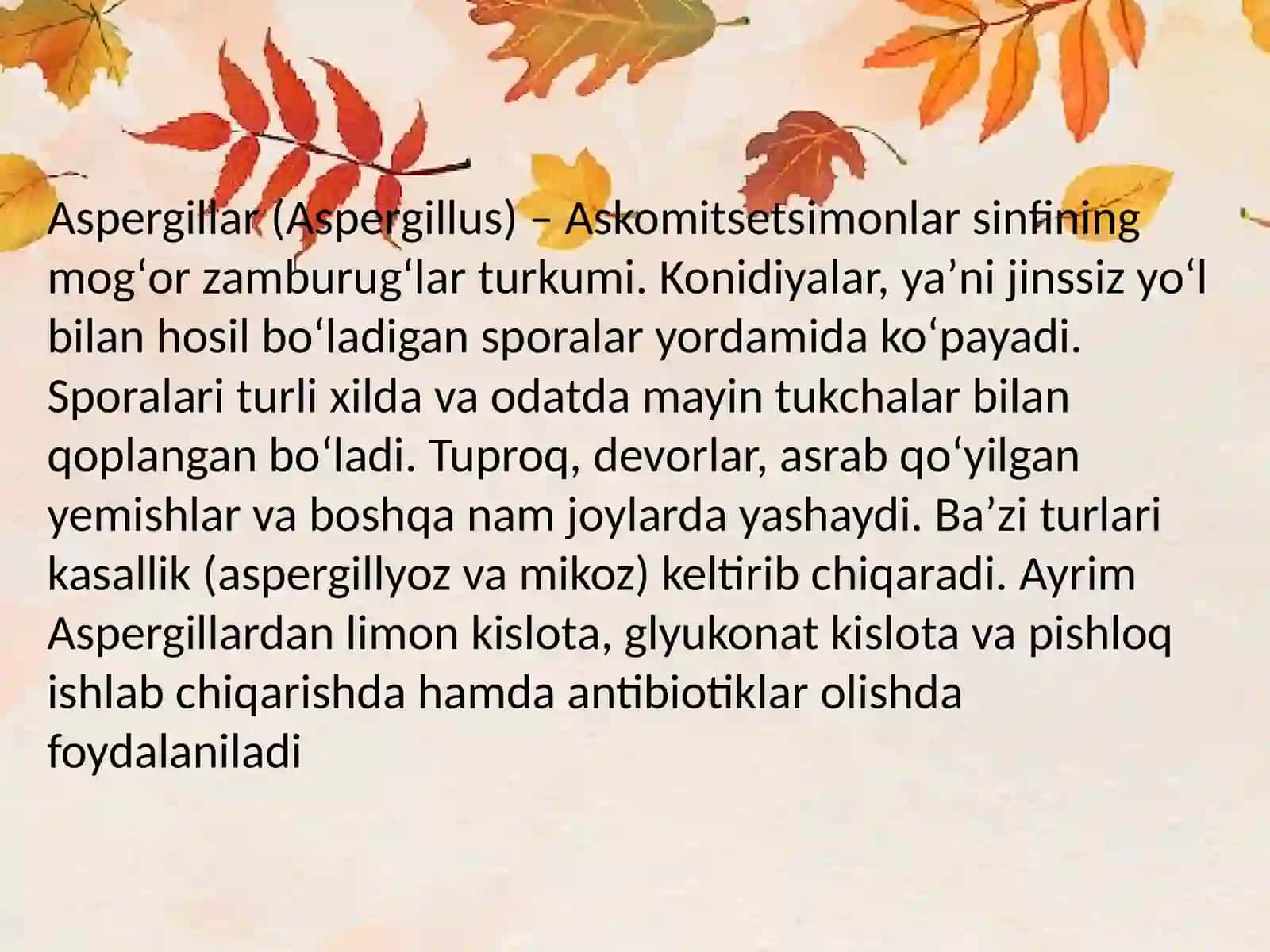 Zamburugʻlar va Petsitsalar 3