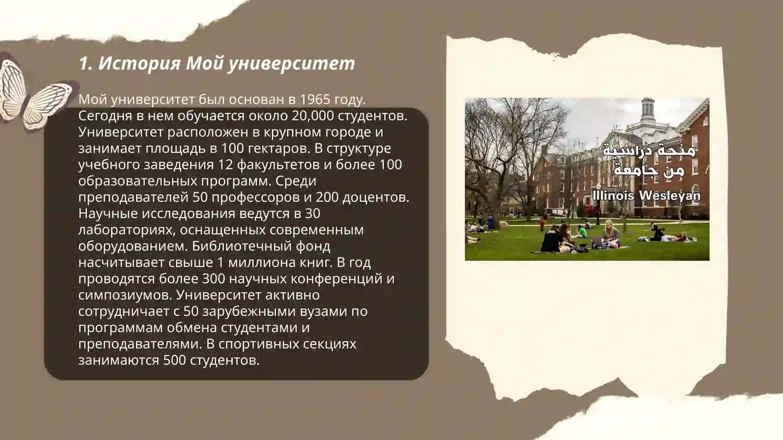 Мой университет 3