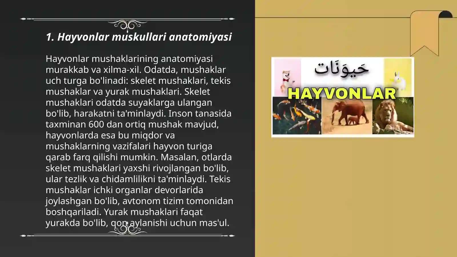 Hayvonlarning muskullari. Lotincha nomlanishi Hakimov Abdurahmon 24_01 3