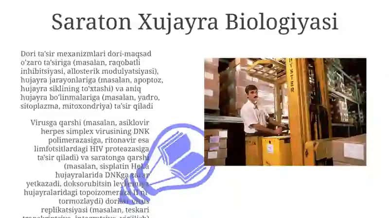 Saraton Xujayra Biologiyasi 3