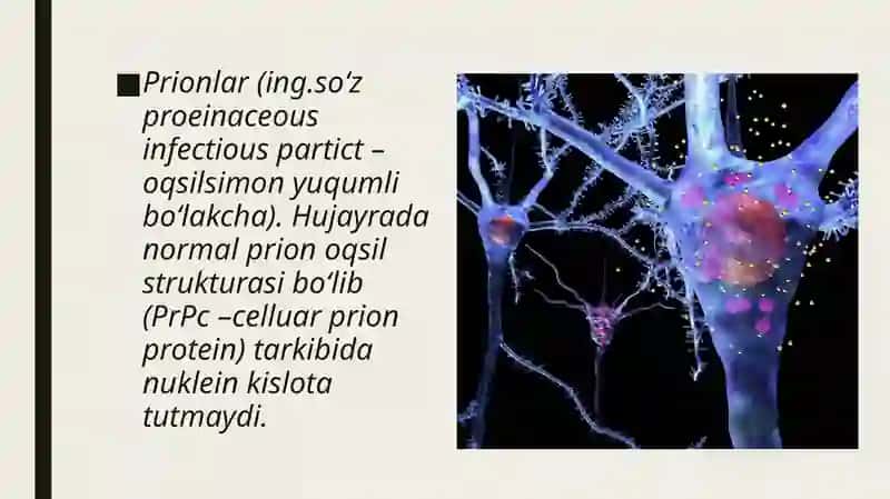 Prionlar (Proteinaceous infectious particles) 3