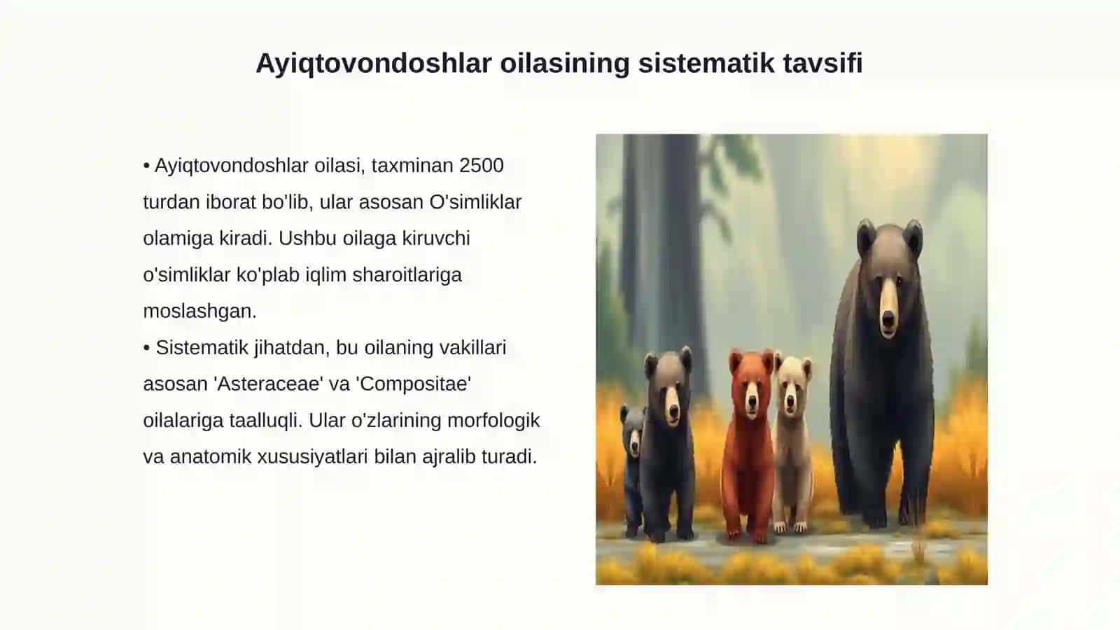 Ayiqtovondoshlar oilasining o'ziga xos belgilari va xalq xo'jaligi 3