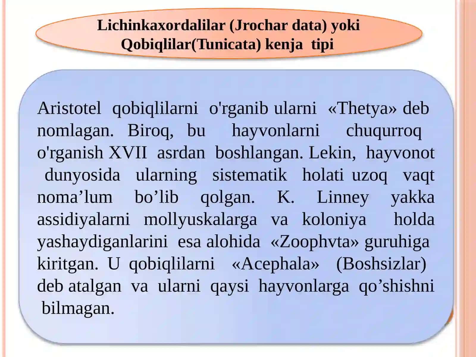 Assidiyaning tuzilishi 3