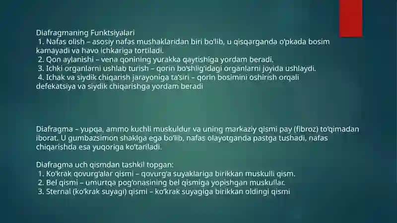 Diafragma 3
