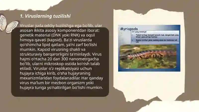 Yerdagi hayotning xilma-xilligi viruslar, prokariyotlar va eukariotlar 3