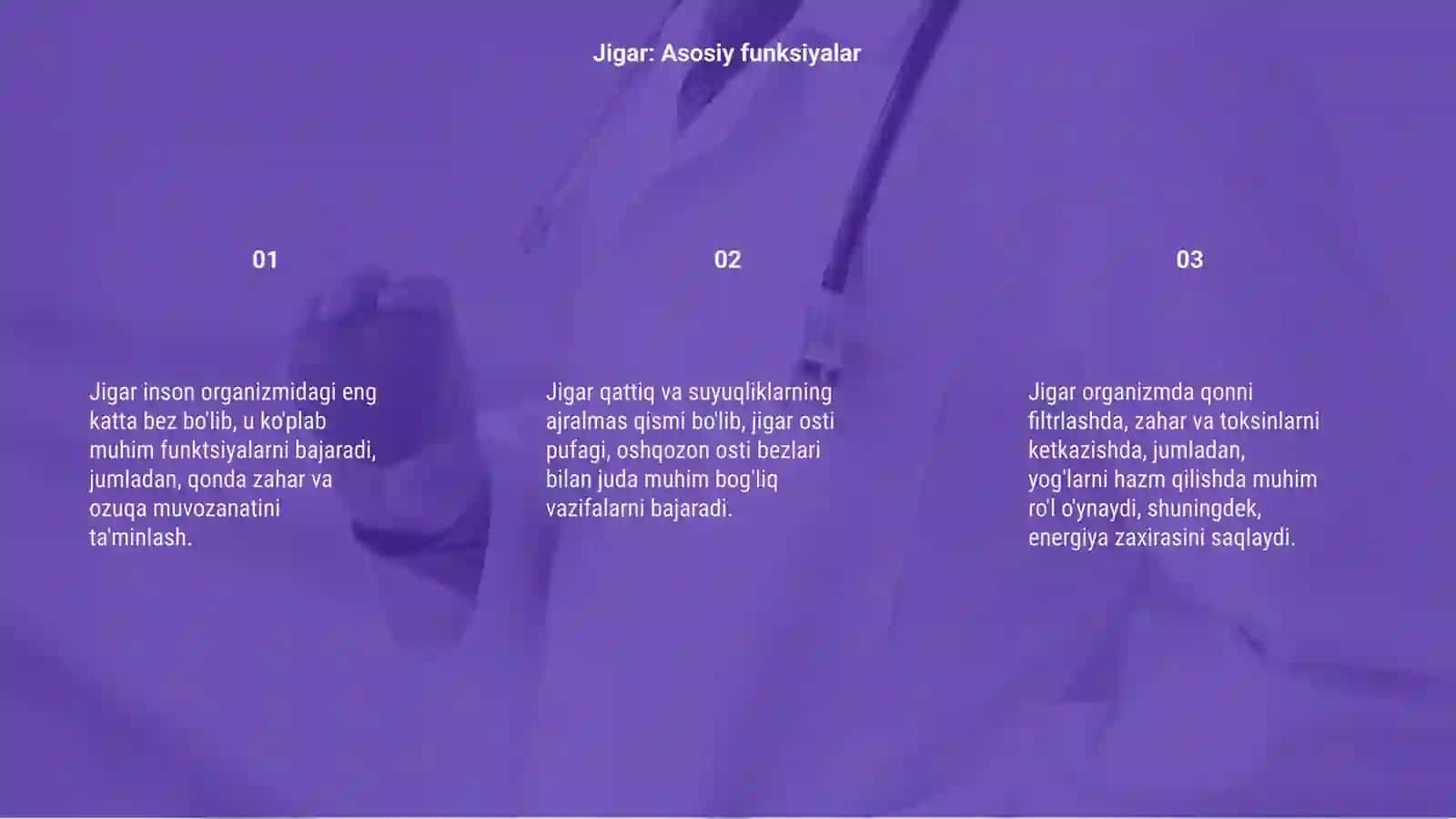 Anatomiya: Jigar õt pufagi osh qozon osti bezi qorin parda 3