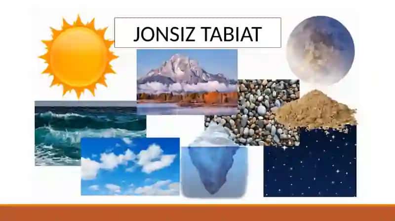 JONLI TABIAT 3