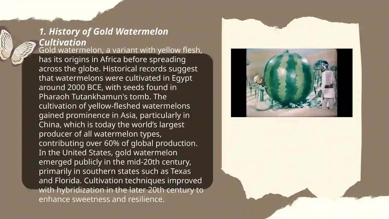 Gold watermelon 3