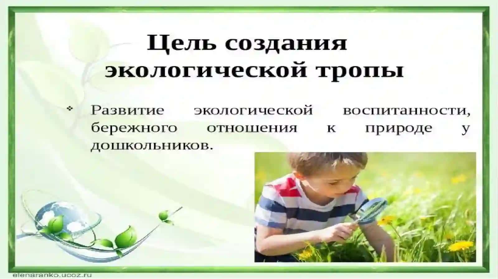 Экологическая тропа 3